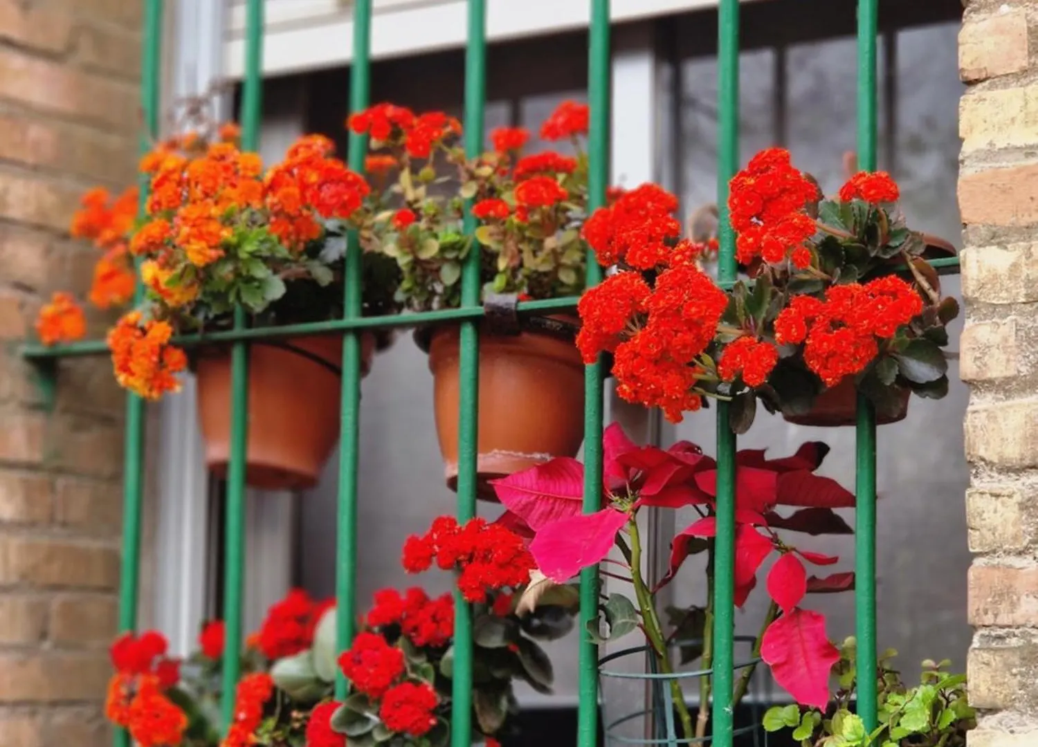 Appartement Las Naranjas De Reina Mercedes Sevilla